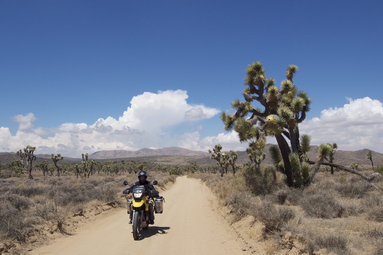 Carmen im Joshua Tree Nationalpark