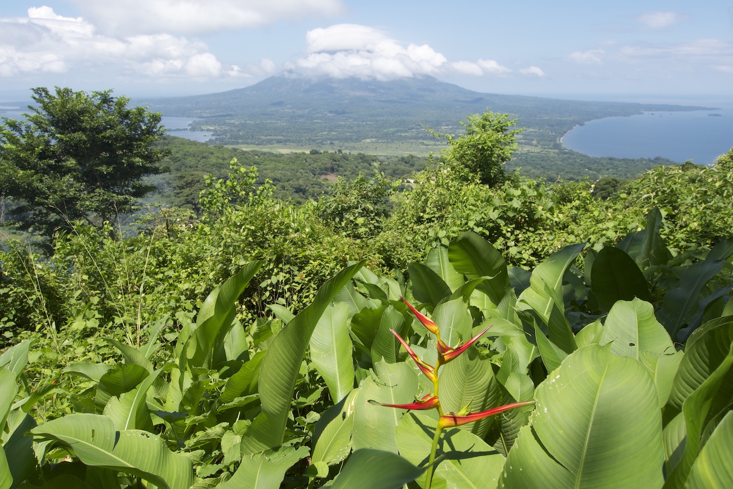 Blick auf den Vulkan Concepcion vom Vulkan Madeira aus, Nicaragua