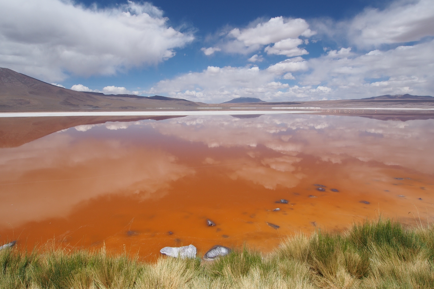 Laguna Colorada