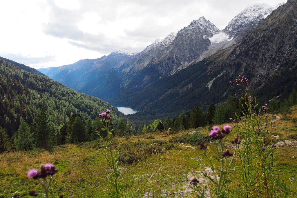 Passo di Stalle