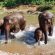 Im Elephant Nature Park